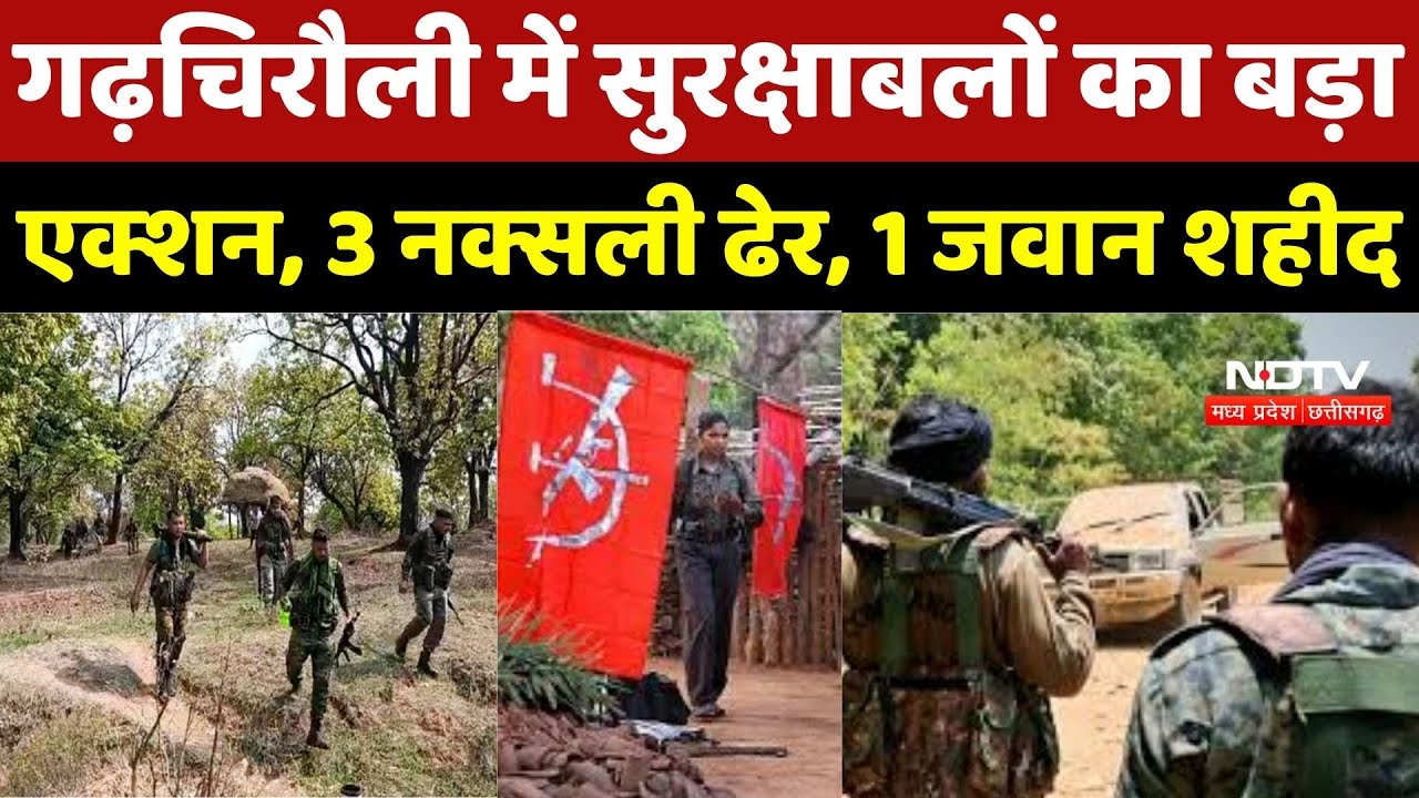 Anti Naxal Operation : Gadchiroli में सुरक्षाबलों का बड़ा Action, 3 Naxalite ढेर, 1 जवान शहीद | CG