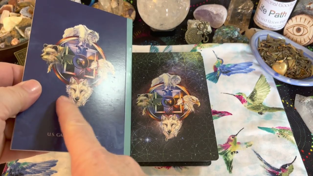 Spirit of the Animals Oracle Cards by Jody Bergsma Deck Flip Through #spiritanimal #oraclecards