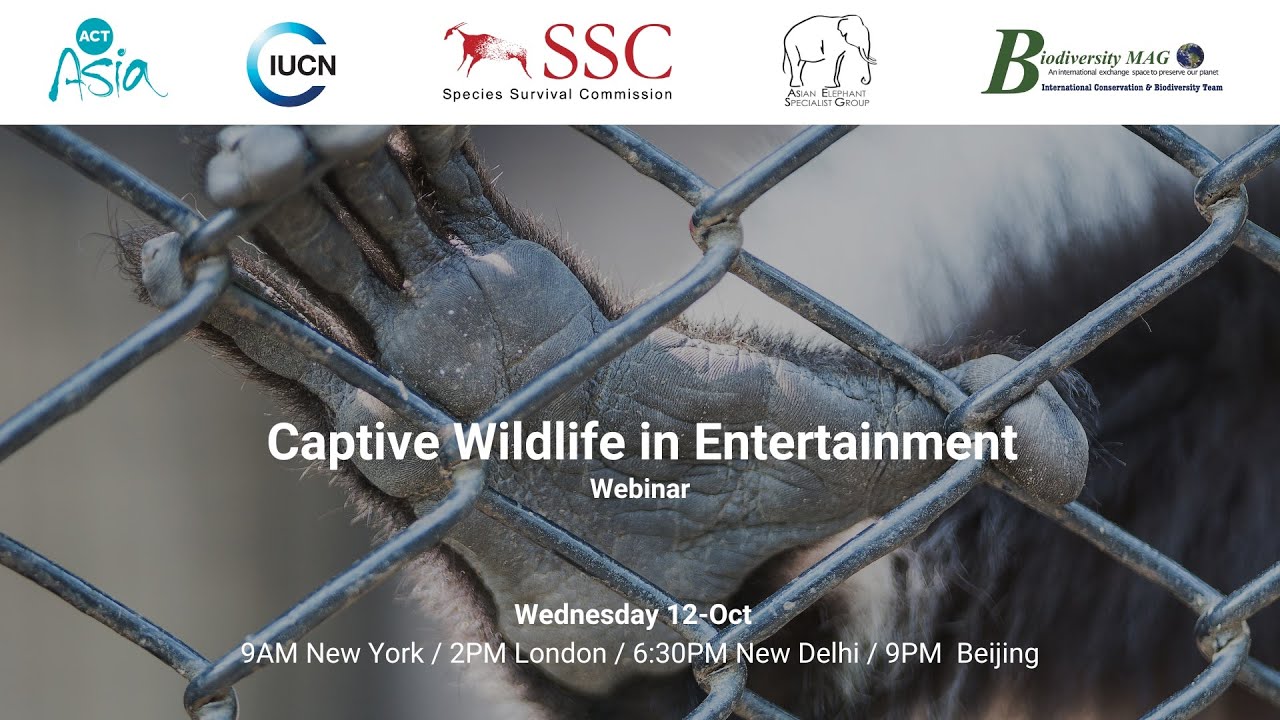 Captive Wildlife in Entertainment