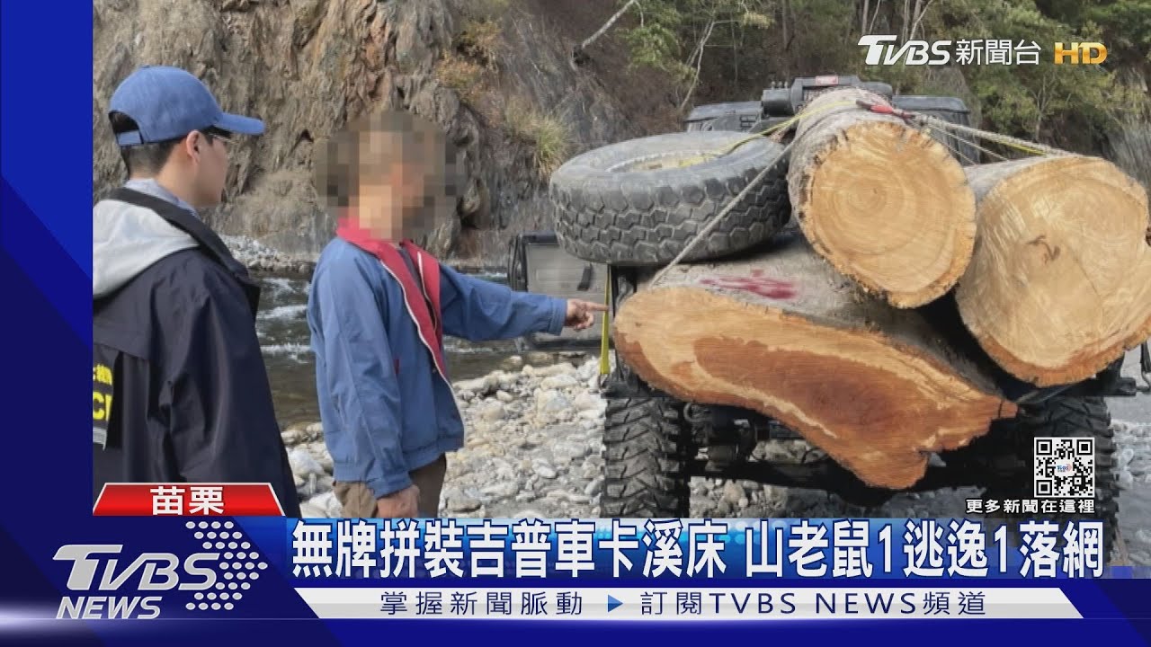 山老鼠開「大腳怪」大安溪盜伐肖楠木被抓｜TVBS新聞