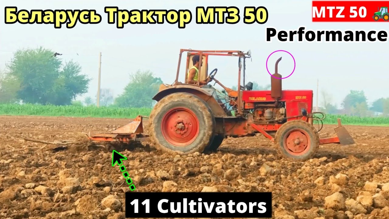 Belarus MTZ 50 performance on 11 cultivators in full depth | early in the morning | Old is Gold 🥇