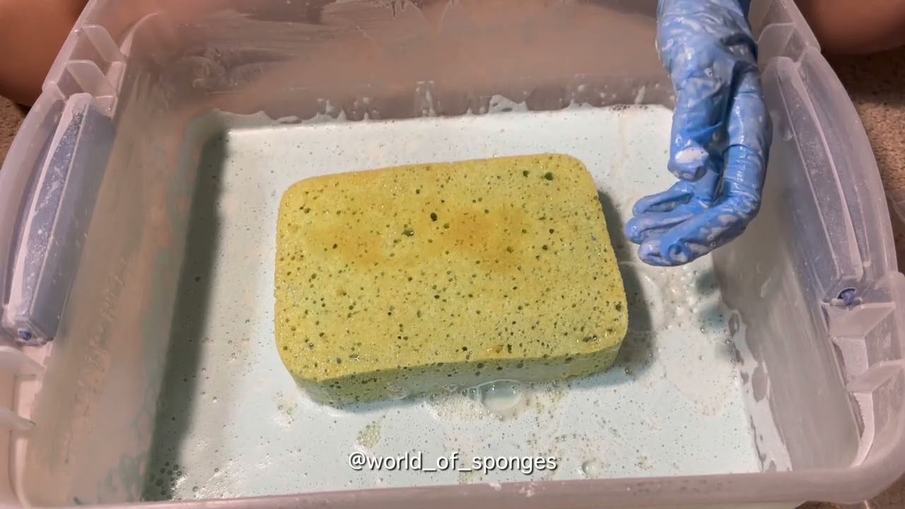 paste play