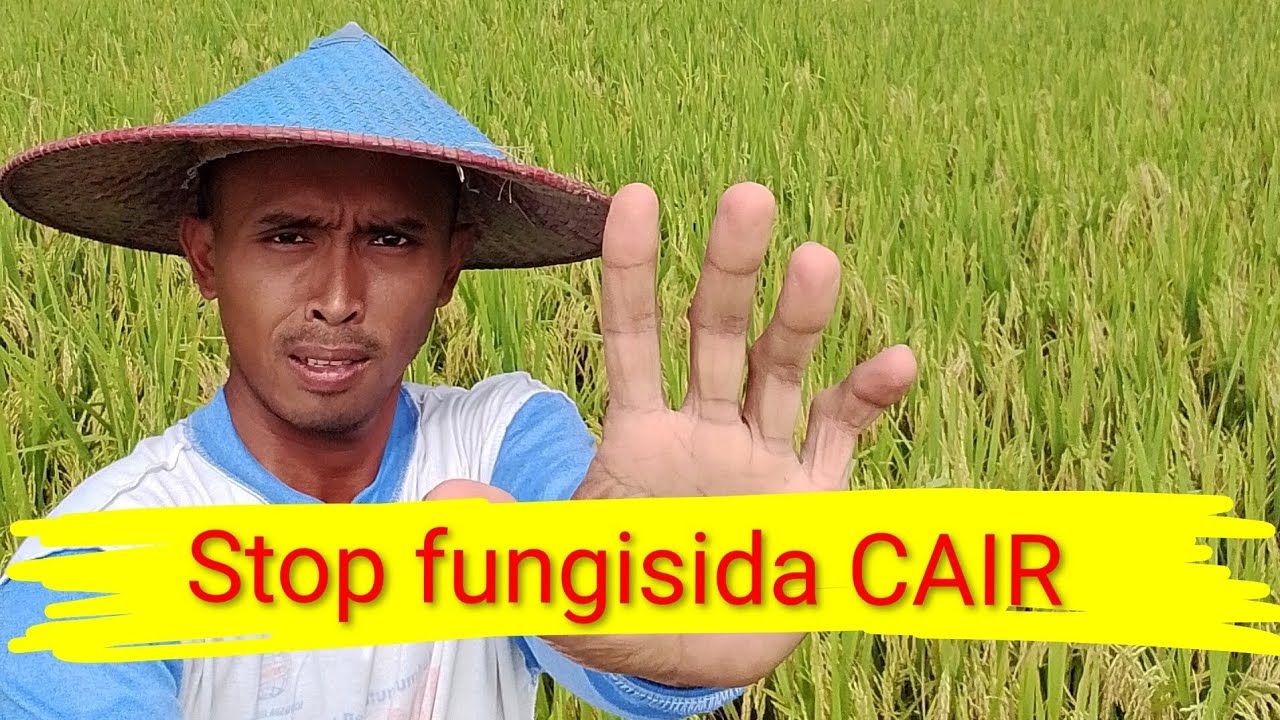 Stop fungisida cair 