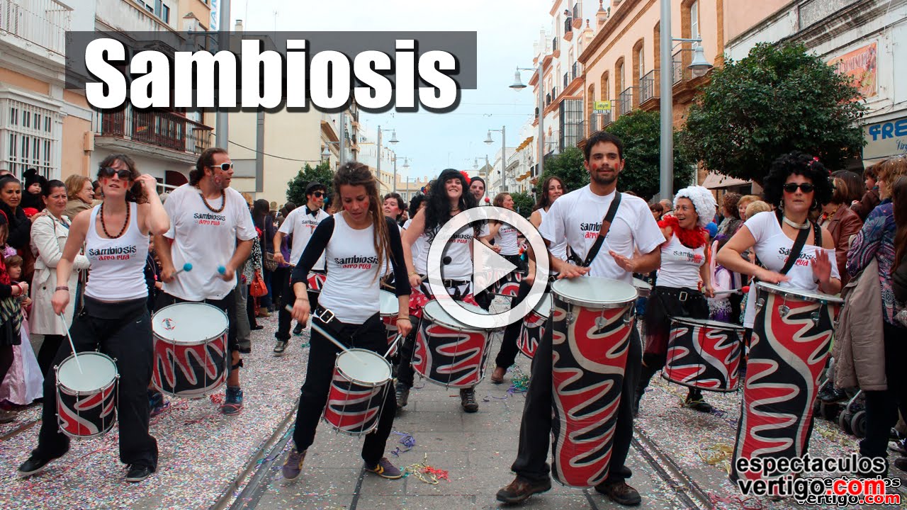 Batucada Sambiosis 💥 Espectáculos Vértigo #eventos #fiestas #shows #livemusic