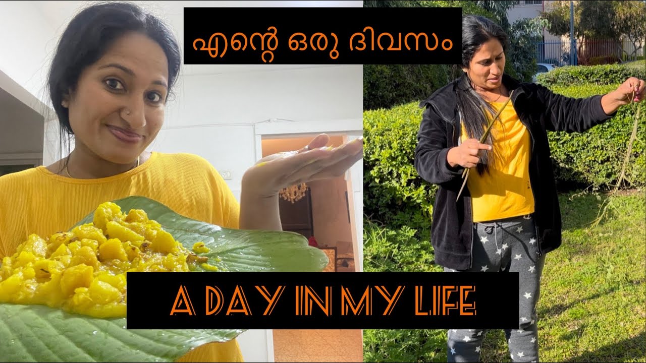 A Day in my life in Israel |കൊള്ളി ഇഷ്ടു |തേരാ പാര |Dinner |Angelwings by Anitha