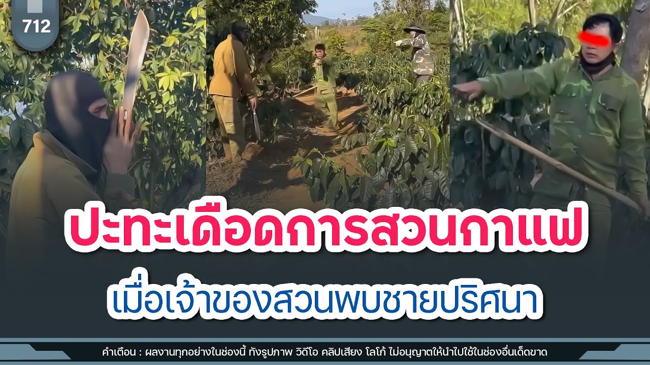ปะทะเดือดการสวนกาแฟ เมื่อเจ้าของสวนพบชายปริศนากำลังขโมยกาแฟ | Time to share | EP. 712