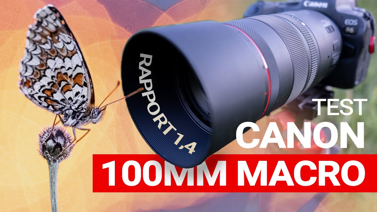 Обзор Canon RF 100mm macro F2.8 L: УДИВИТЕЛЬНО!