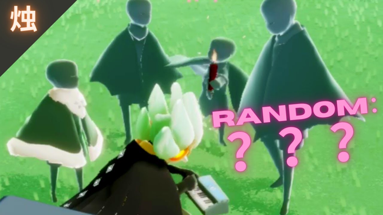 I Played a CONCERT For Rando in Sky and They LOVED It