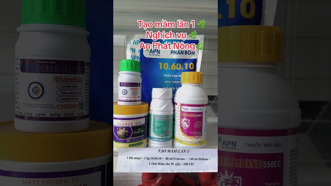 Tạo mầm lần 1 An Ph&aacute;t N&ocirc;ng #saurieng #anphatnong #taomam