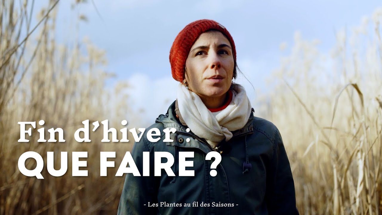 Fin d'hiver : avoir le bon plan (de culture)