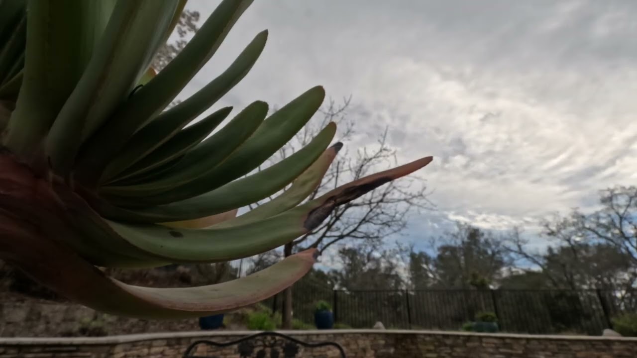 Sunday Timelapse 