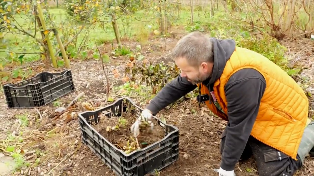Ogród na miarę - 2025.10.11