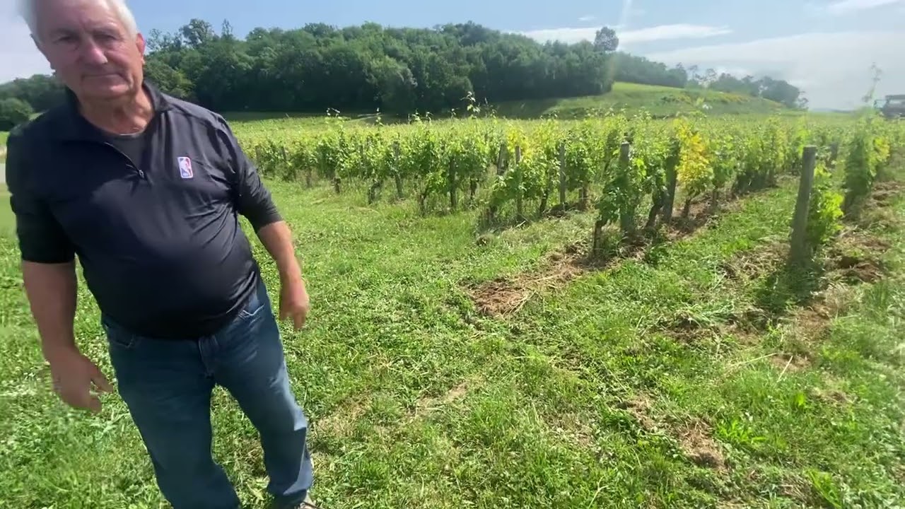 Pierre Seillan, winemaker of Ch Lassegue, St Emilion, Bordeaux, France - June 2025