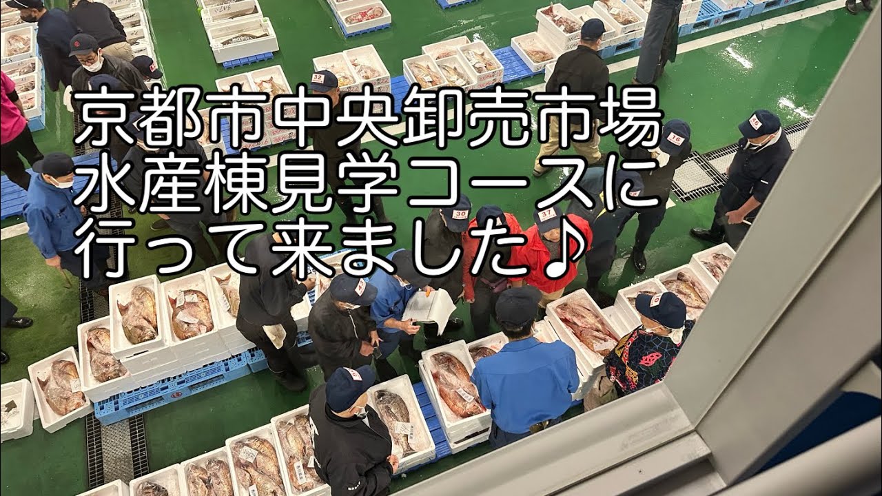 Vlog京都市中央卸売市場水産棟の見学コースに行ってみました