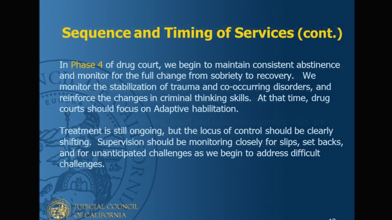 Adult Drug Court Standards: Standard VI &ndash; Complementary Treatment and Social Services