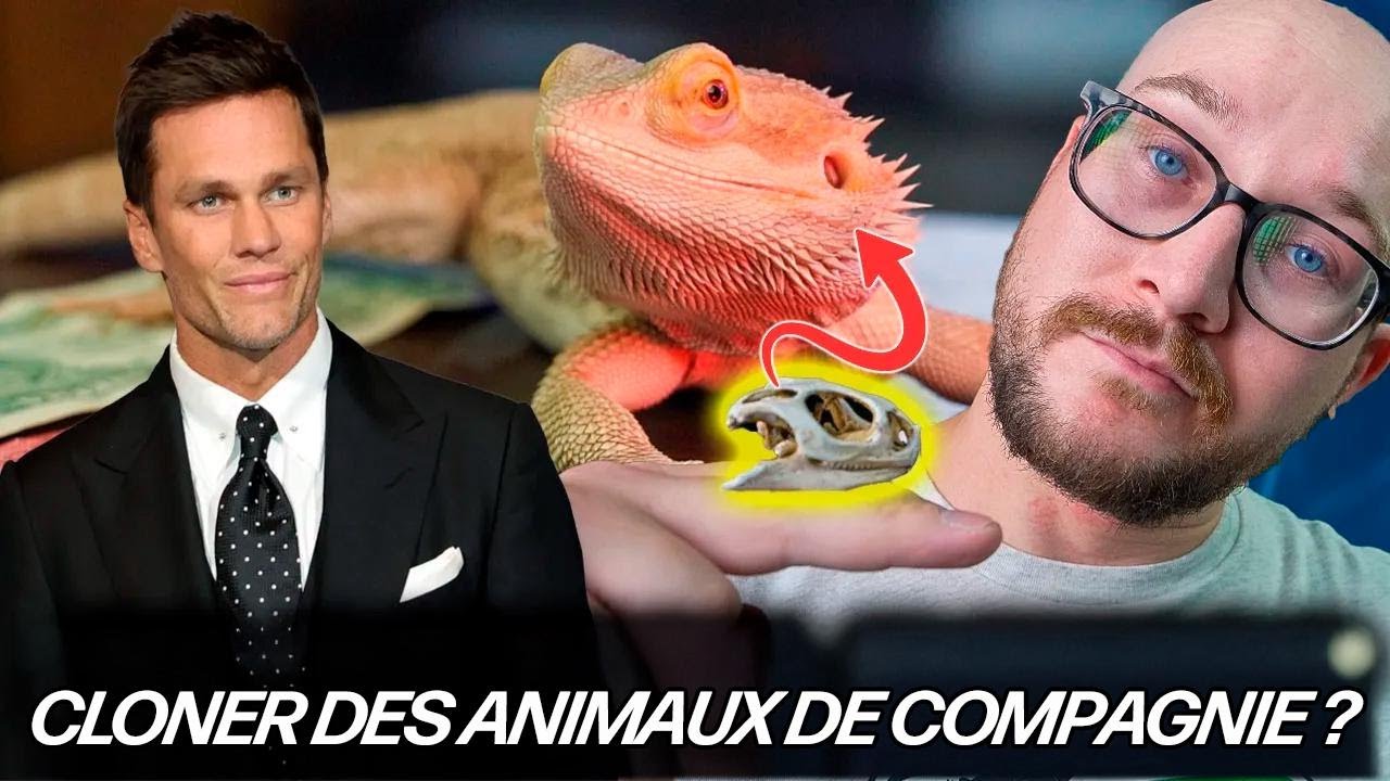 Tom Brady a cloné son animal de compagnie ! Et toi, tu le ferais aussi ?
