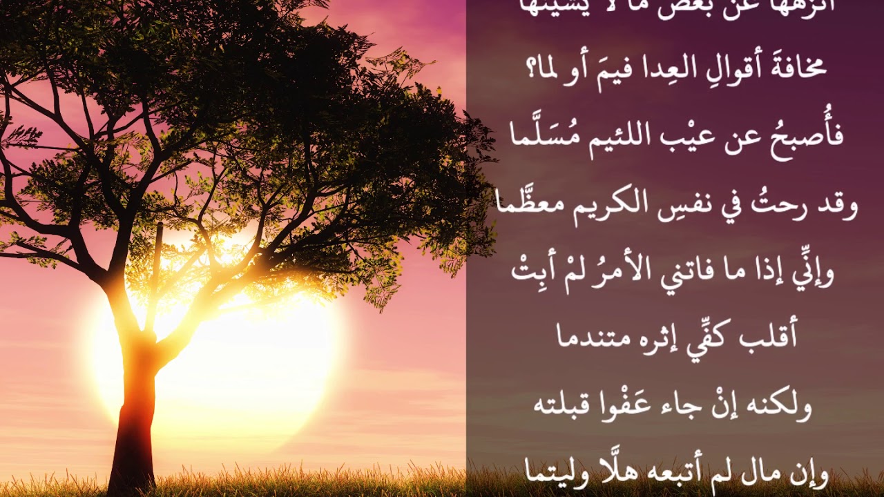 ميمية الجرجاني- أداء عمر الشرفي