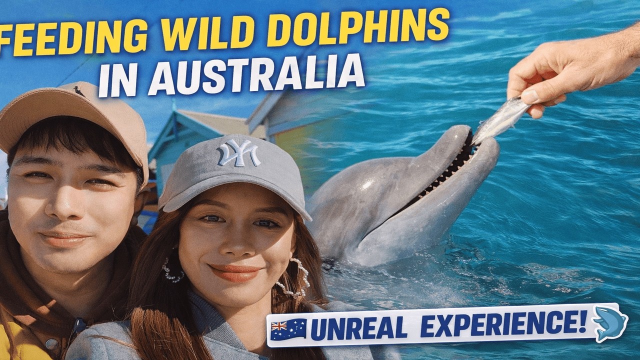 We Fed Wild Dolphins in Australia… You Won’t Believe This! 🇦🇺🐬🔥