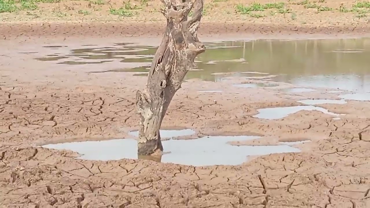Açude de cabaceira divisa de Afrânio com Dormentes PE 