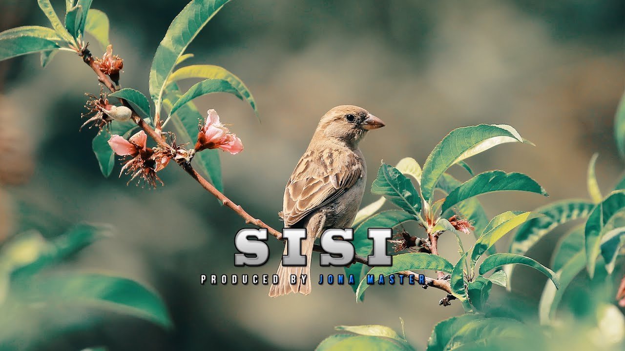 Sebene Instrumental Gospel Beat - SISI