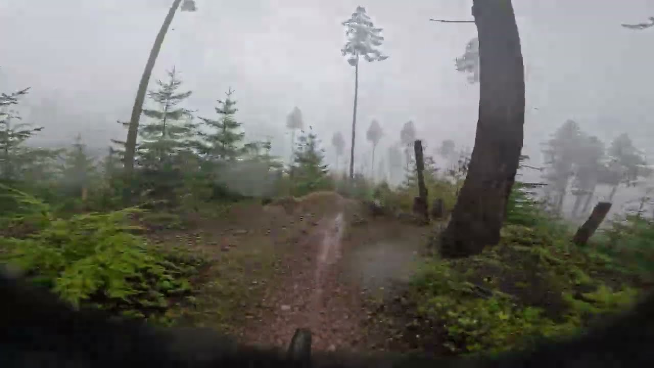 Cooking, Camping and Bike Riding
