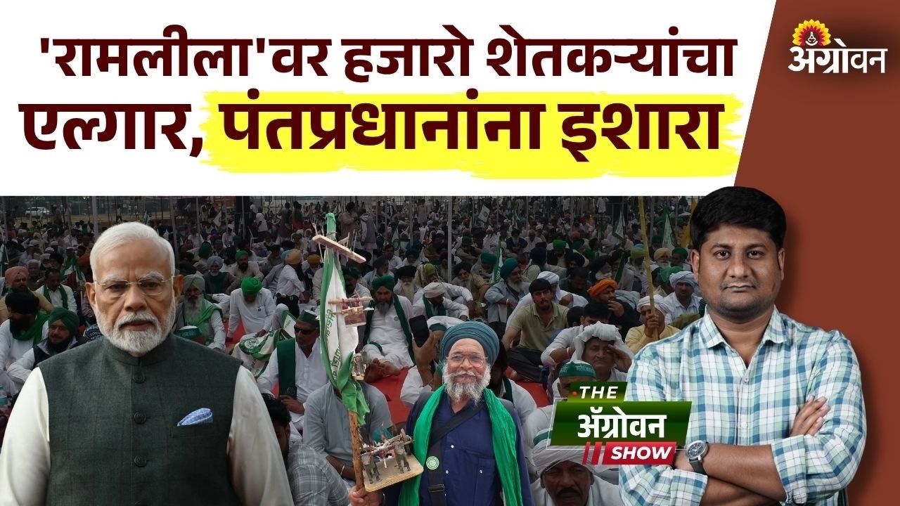 Karjmafi and MSP : हमीभाव हमी, कर्जमाफीची मागणी, भारत-अमेरिका कराराला शेतकऱ्यांचा विरोध| Agrowon