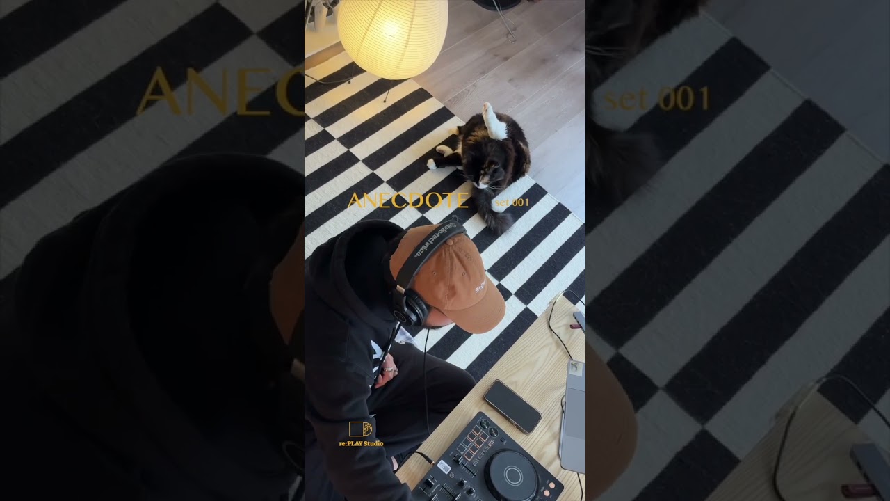 Living Room Set 1 | Anecdote | Japanese R&B, Hip-Hop, Chill Vibe, Relaxing Summer Playlist