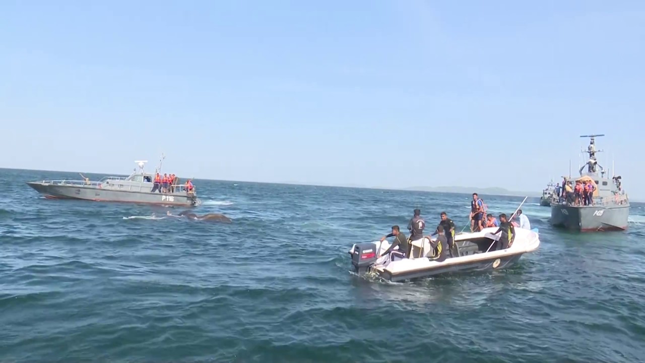SL NAVY RESCUES TWO MORE JUMBOS IN THE SEAS OFF TRINCOMALEE