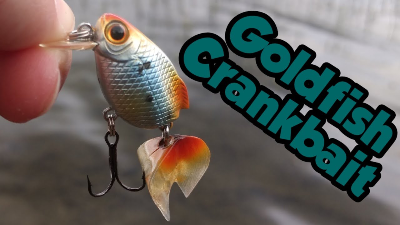 Panfishing with Goldfish Lures