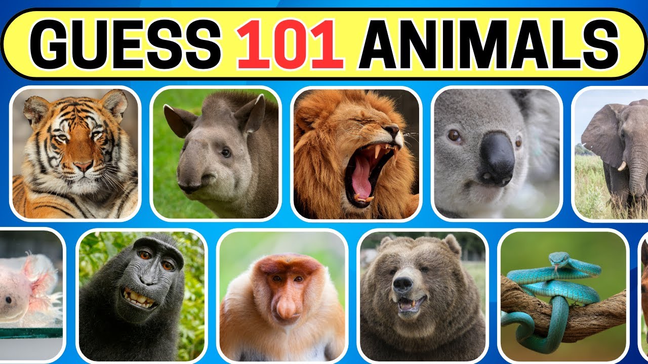 Guess 101 Animals in 5 Seconds | Easy to Impossible