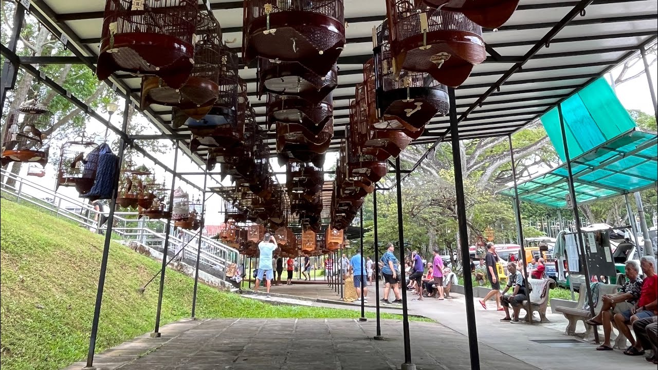 5:04 min Kebun Baru Birdsinging Club