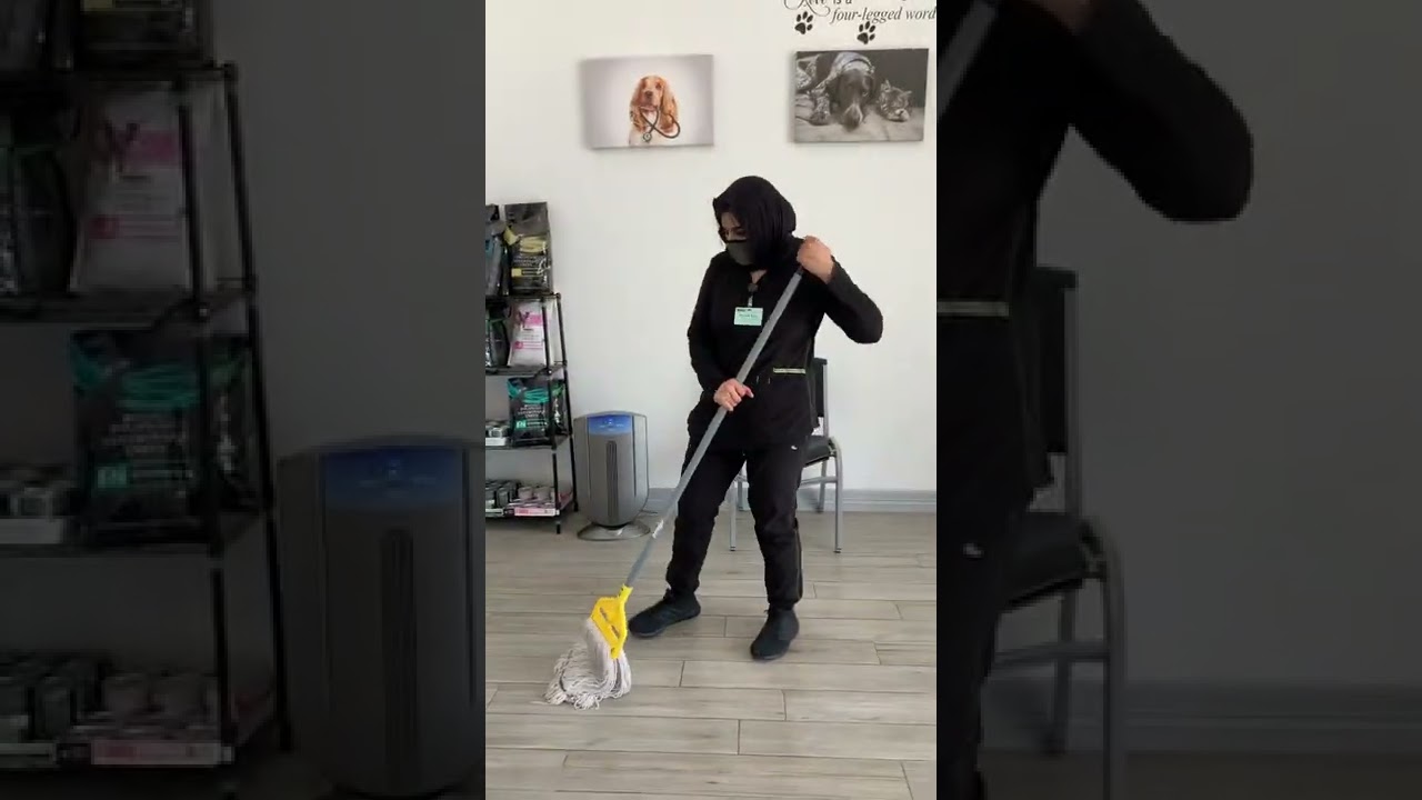 Learning How to mop Video 2