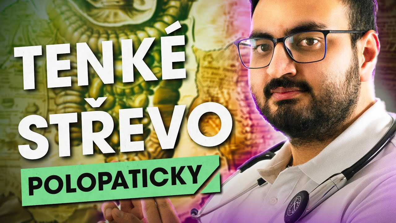 Tenké střevo ...Polopaticky