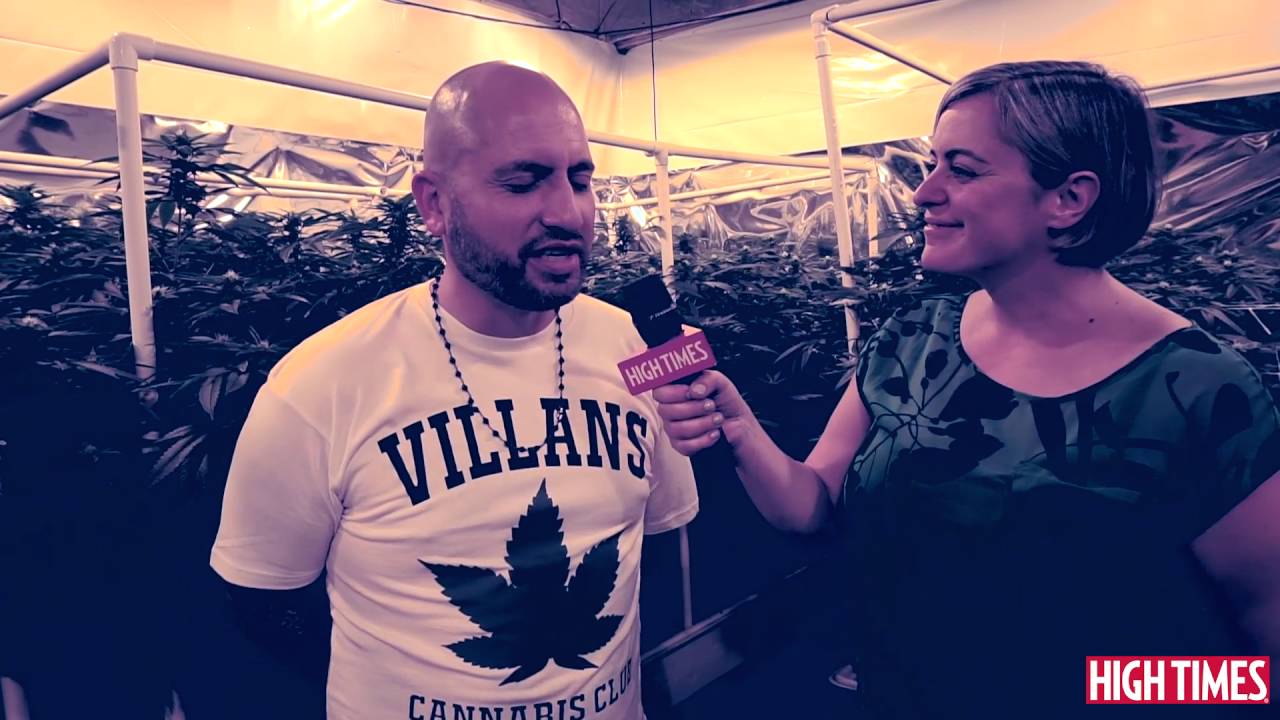 Experience A Live Growroom at the 2016 Medical Cannabis Cup