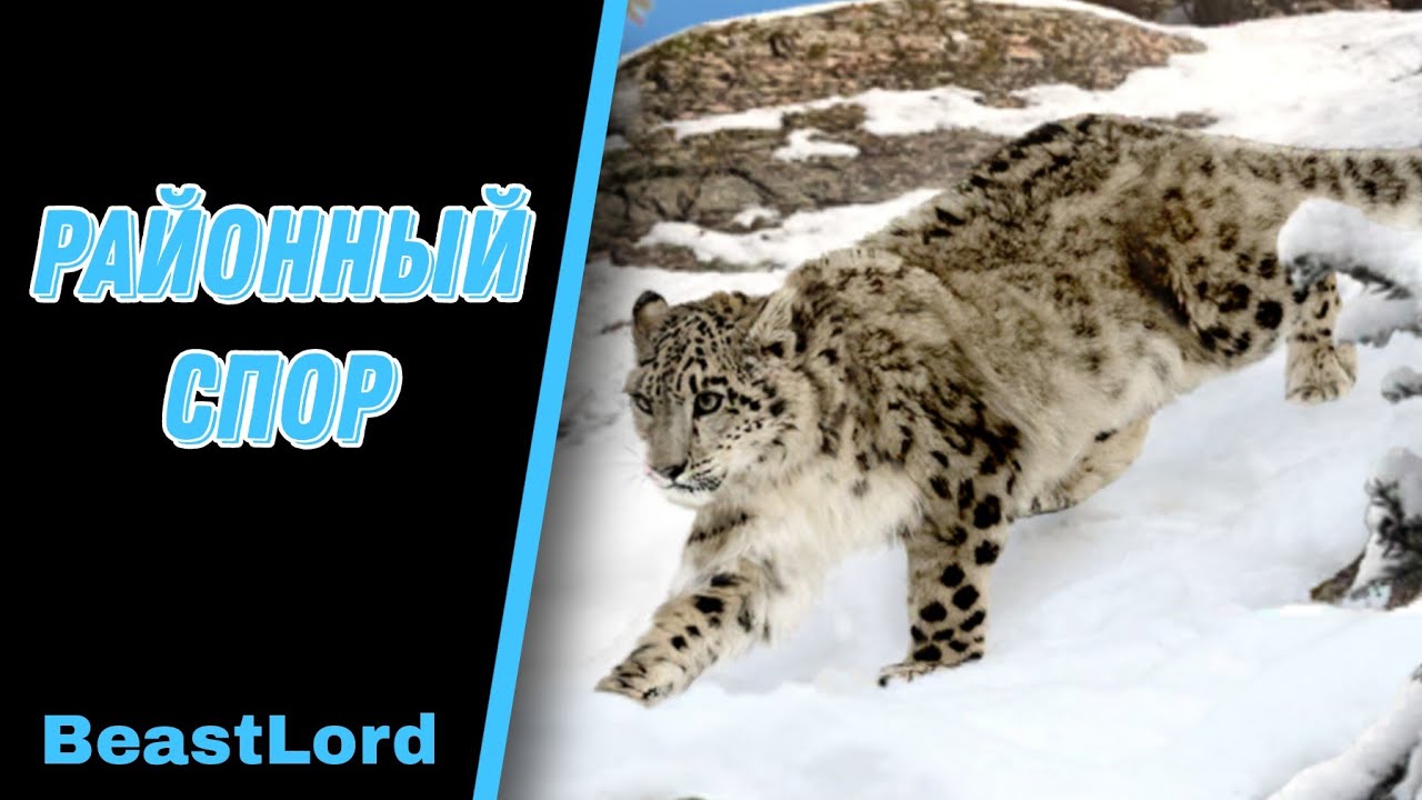 BeastLord ~ Гайд для новичков ~ Районный спор