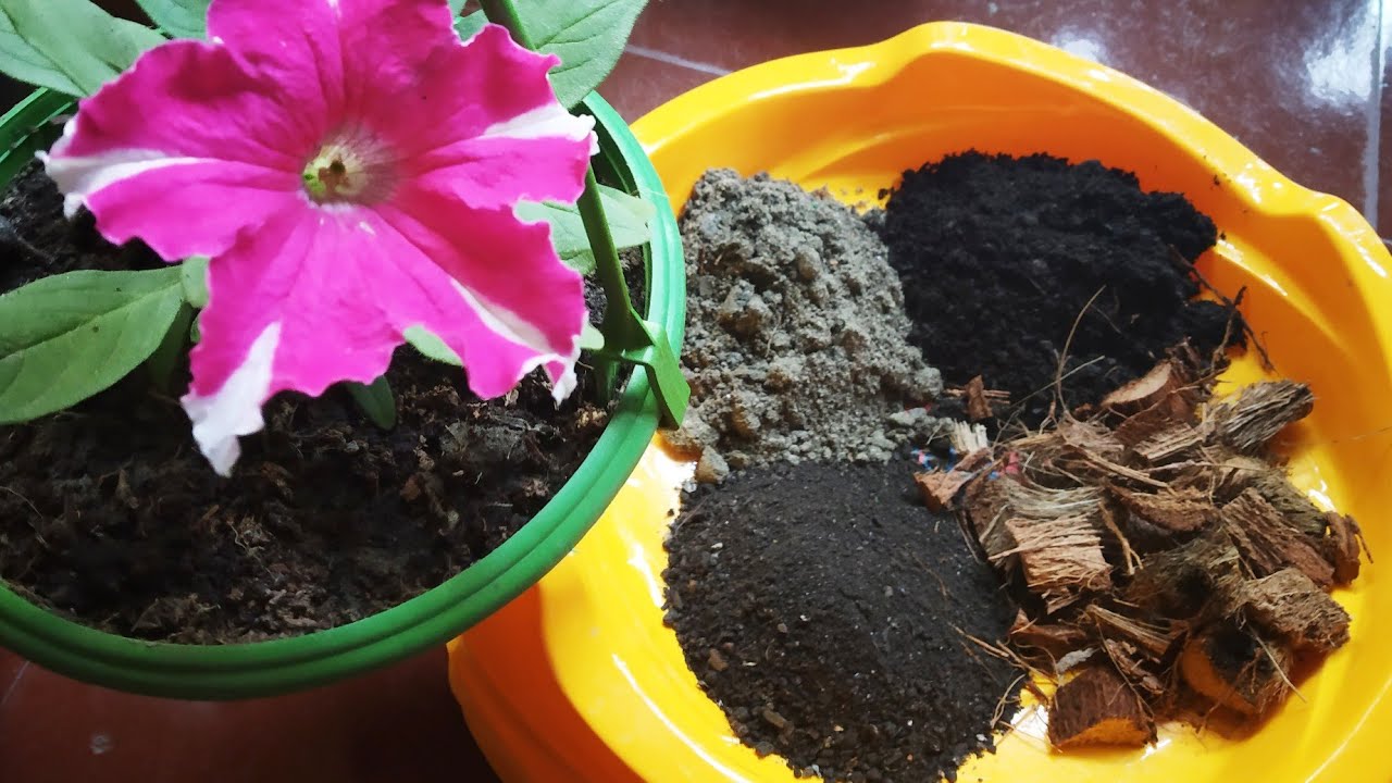 हैंगिंग बास्केट के लिये बनाये ऐसी मिट्टी How to make hanging basket .. Perfect soil mixture of hangi