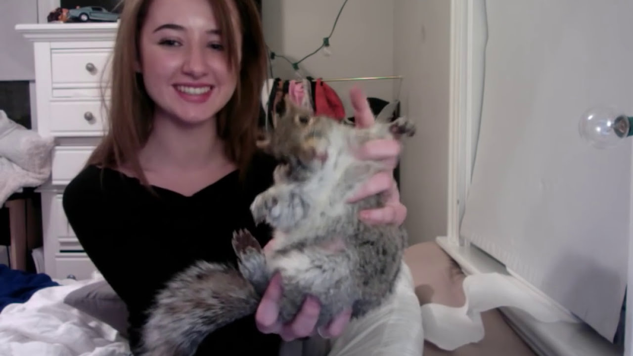 I Rescued a Squirrel: My Pet Squirrel