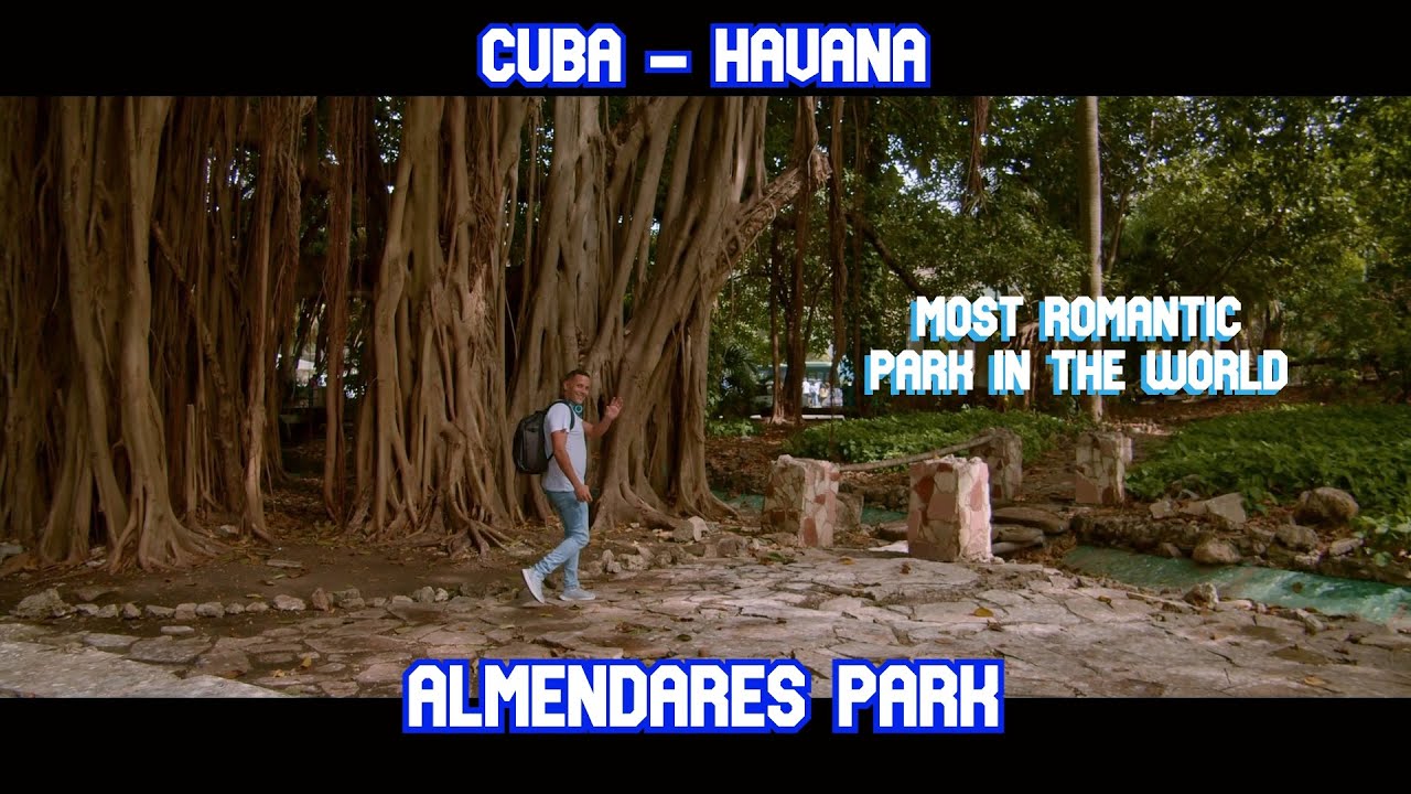 Parque Almendares - Havana - Cuba / Most romantic park of Havana / Impressive tree