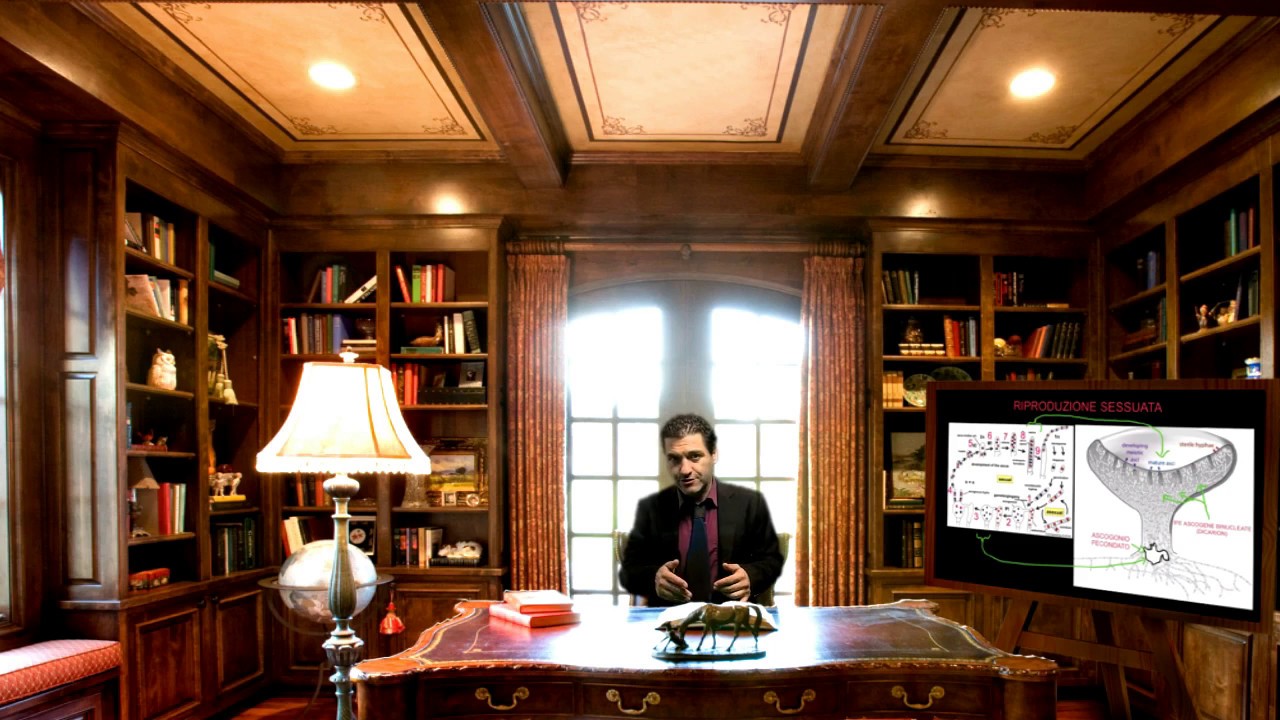 IL MERAVIGLIOSO MONDO DEI FUNGHI - MICOLOGIA - LEZIONE 9 - RIPRODUZIONE ASCOMYCOTA