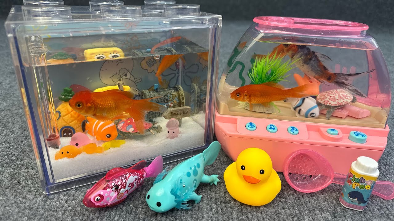 Satisfied unboxing, happy aquarium, robot fish, magnetic fish, live fish, fishing toy set, ASMR