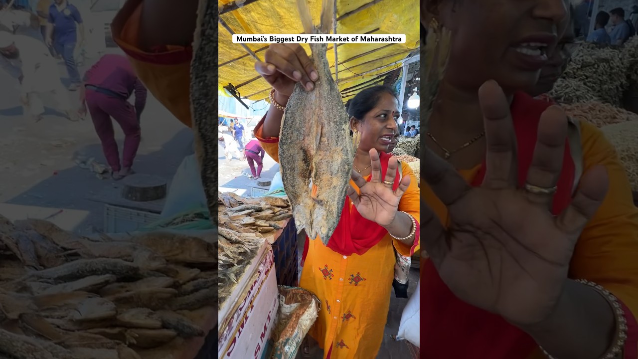 Mumbai&rsquo;s Biggest Dry Fish Market of Maharashtra