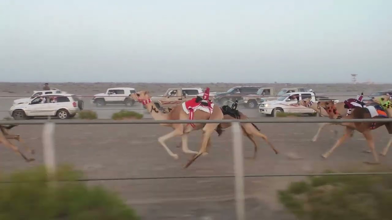 الشوط 2…(الباهي)لـ سالم بن مسلم بن حمد المخيبي 2:17