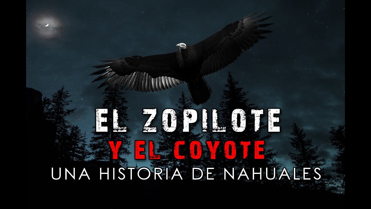 El Zopilote Y El Coyote, Una Historia De Nahuales