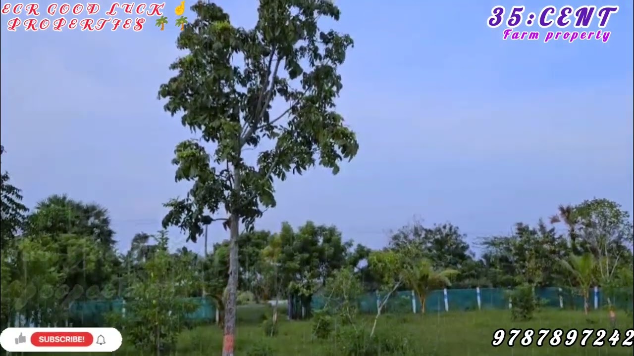 🆔 104: 35 CENT FARM PROPERTY FOR SALE IN NEAR ECR KADAPAKKAM JUNCTION TO 5KM DISTANCE