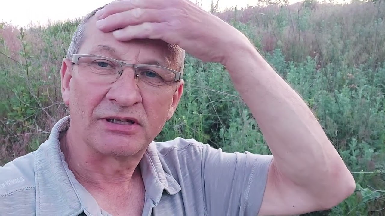 Полынь горькая | Компонент для приготовления препарата КАС-81