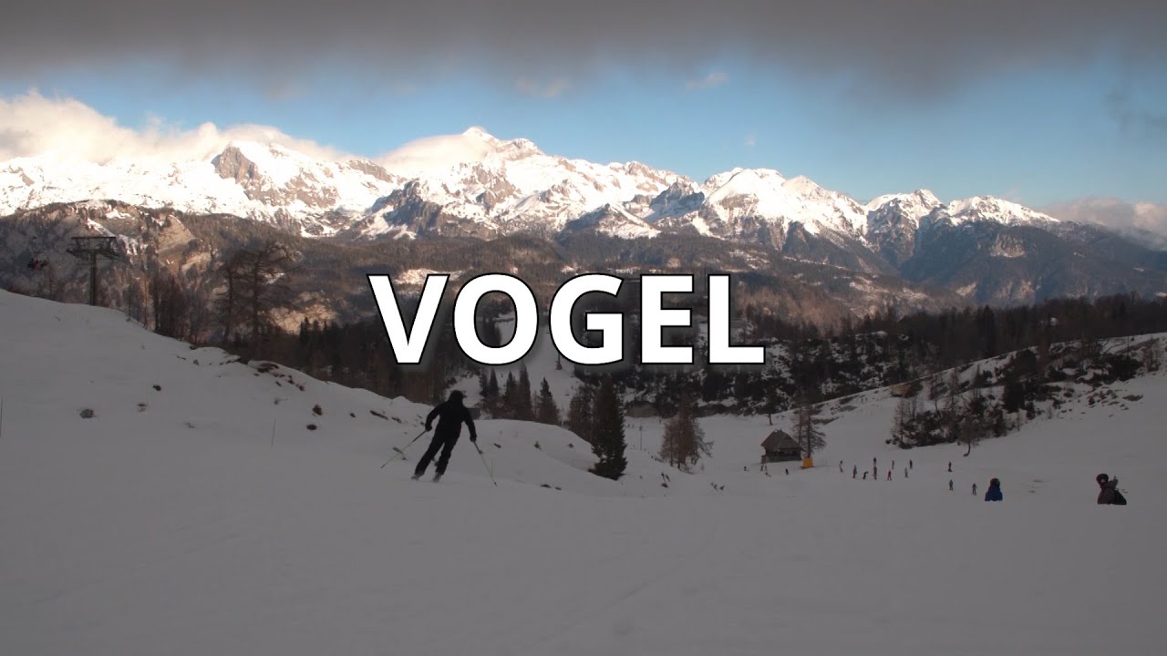 VOGEL RECENZIJA