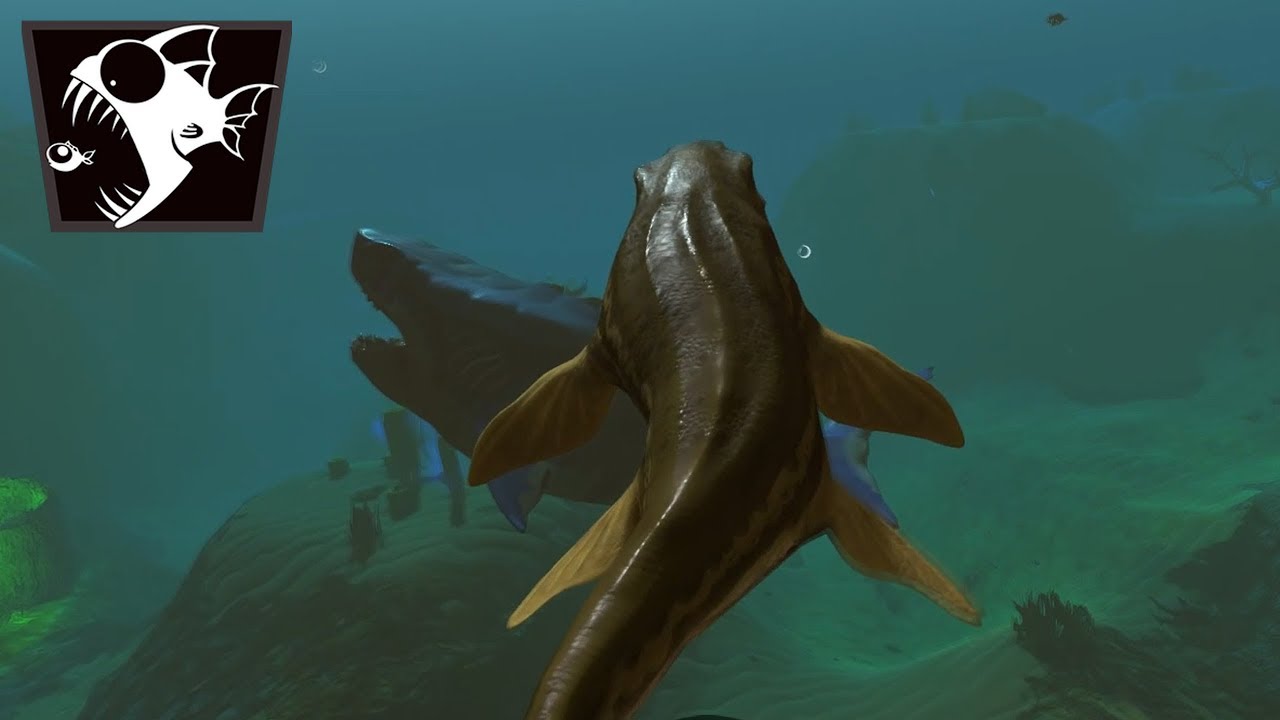 LE PROGNATHODON MANGE TOUT ! - Feed And Grow #47 (FR)