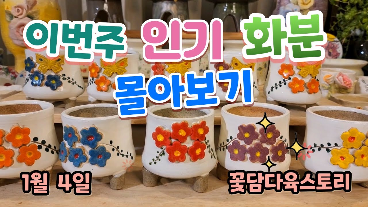 1월 4일 ☎ 010-3711-3080 