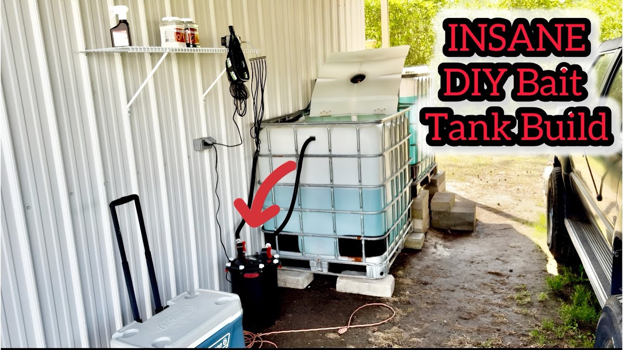 My Home Bait Tank Setup (DIY & Affordable!)