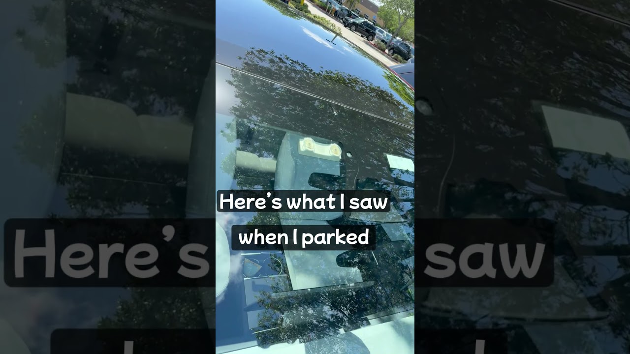 Tesla Windshield Cracked While on FSD | POV Reaction 🚗💥